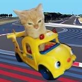Vroom cat - Portal