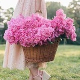 عـطـر الـورد 💖