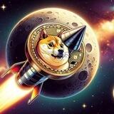 DOGE🚀🚀🚀