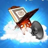 أرشيف المصاحف
