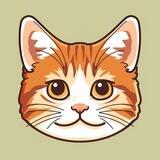 Zazzles - Matt Furie's Cat