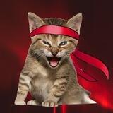 Roaring Kitty $KITTY