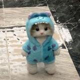 MONSTER CAT ~ CTO RELAUNCH