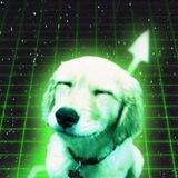 $UPDOG CTO