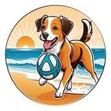 🐶🎾 dogwifball | Portal