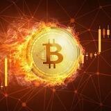 CryptaKorm