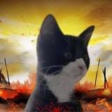 Last Cat