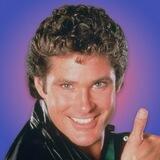 The Hoff Portal
