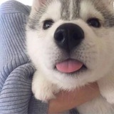 Blep | Portal