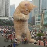 $1000cm CTO CHANNEL