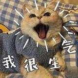 灰产头条曝光