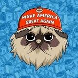 MAGA Miggles - $MAGAM