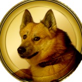 $CAESAR | PORTAL