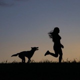 Мир глазами Василисы 🐕📷