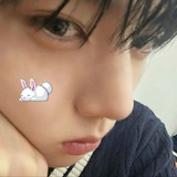 𐙚 chiyu plibis