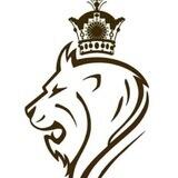 همراه توتوفا 🦁👑