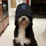 $SOCKS Iggy's Dog Portal