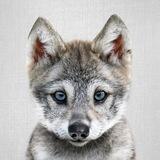 $HOWLY CTO PORTAL