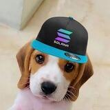 Winston
