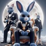 CTO RABBIT