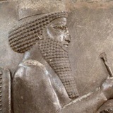 داریوش دولتشاهی