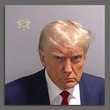 Elect The Felon (ETF)