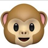 Monkey Pox | Portal