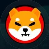 BINANCESHIB