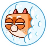 Cupid The kitty portal CTO