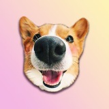 BoopDoge Chat