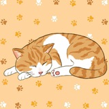 O'Malley / Matt Furie's Cat / 0x8888
