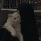 سُبُل السلام