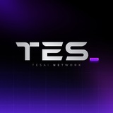 TESAI中文社区