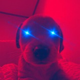 DARK BILLY