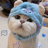 KITTY CTO