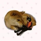 Mimi | Doge's best friend