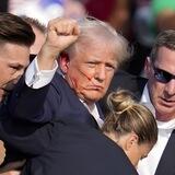 FIGHT TRUMP Official
