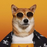 BODHI