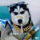 素材炒群|💎素材狗推炒群专用💎