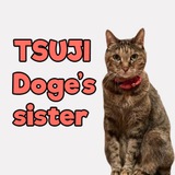 Tsutsuji - Doge's Sister | TSUJI