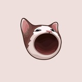 Popcat2.0 deployed by $popcat dev