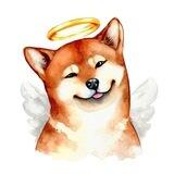 EGOD - RIP Kabosu DOGE EGOD