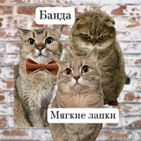 Банда «Мягкие лапки»