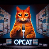 OPCAT bip420 on sol
