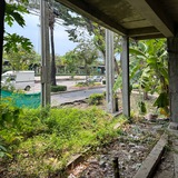 Live Outdoor สำหรับคนชอบโชว์