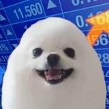 🥚🐶Eggdog Portal🥚🐶