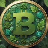 Bitcoin Eco [$BECO]