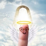Fin portal