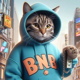 Sammy the tabby BnB