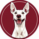 Пёс с тобой 🐶